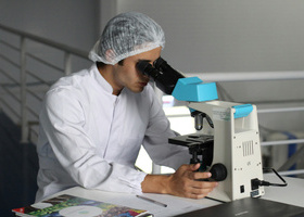 Male researcher looking through microscope